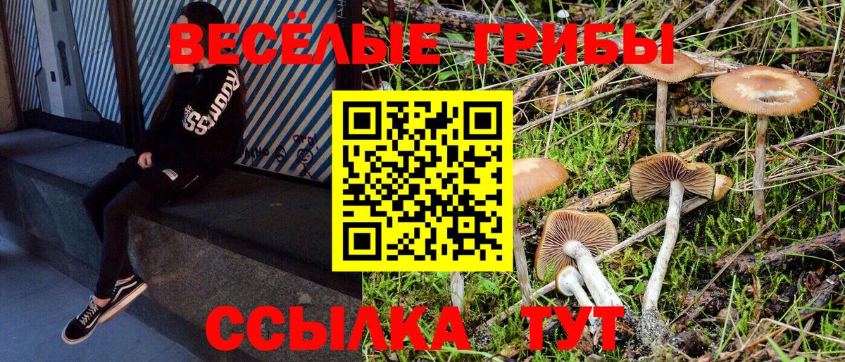 Галлюциногенные грибы прущие грибы  купить наркоту  Вход с VPN  Салават  Галлюциногенные грибы Cubensis 