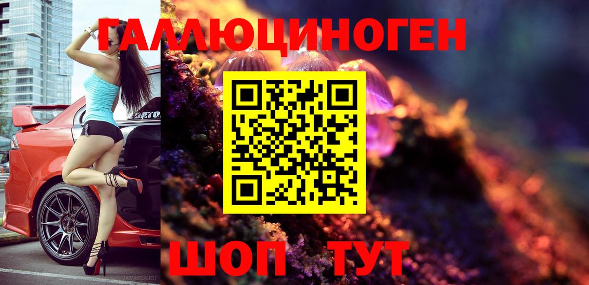 Псилоцибиновые грибы GOLDEN TEACHER Салават